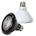 PAR30 LED Light Bulbs