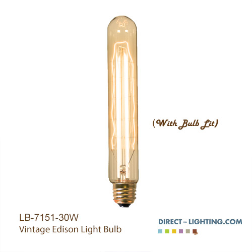 Antique Light Bulb - T10 - E26 Base - Incandescent - 30W -