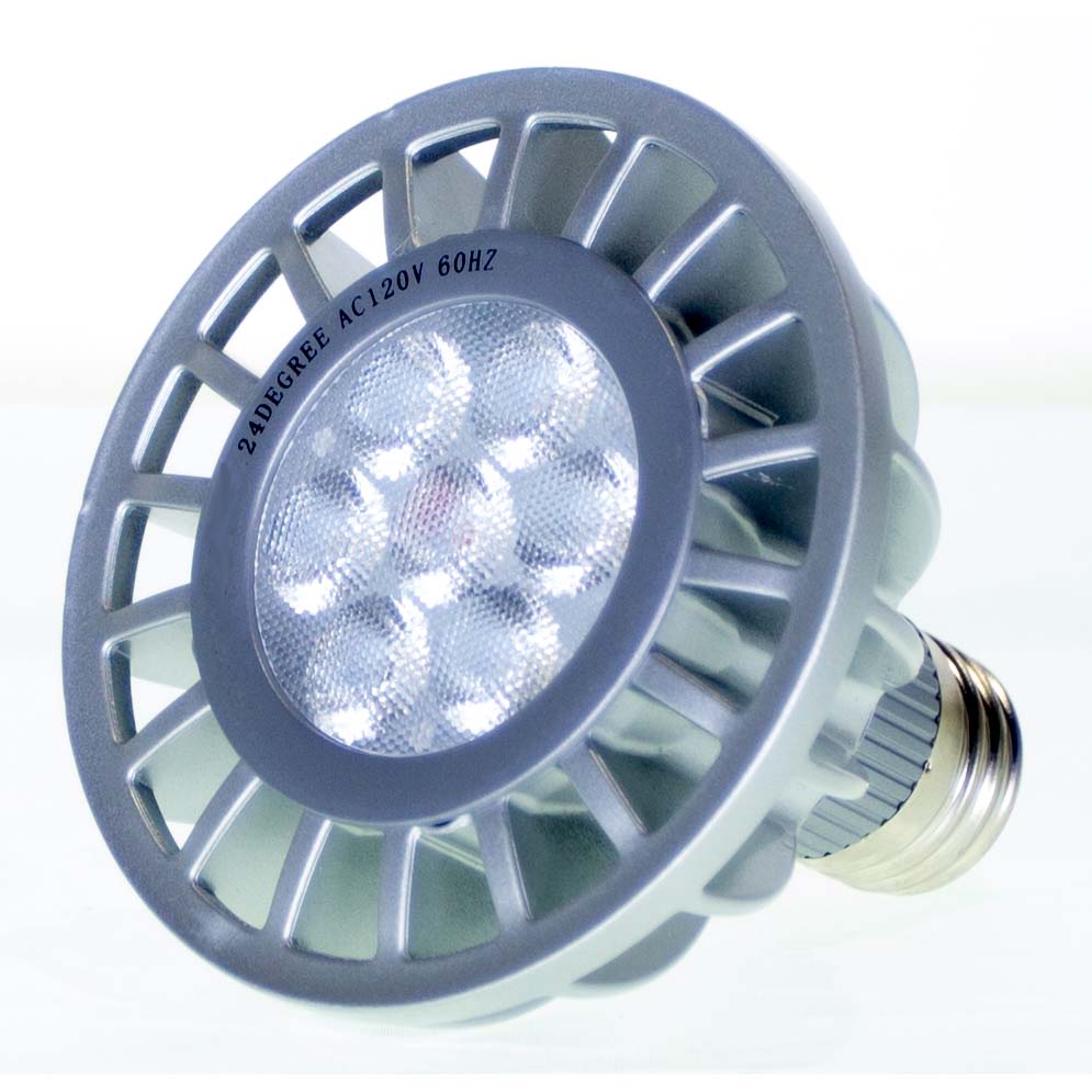 PAR30 LED Bulb in Brushed Steel