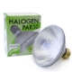 ProPar30 Green Energy Lighting, ProPar, PAR30, Short Neck, Spot, Narrow Flood, Food, lamp, light bulb, discount, wholesale
