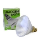 ProPar38 PAR38 Halogen Lamp, PAR38 Light Bulbs,R38, PAR Lamps