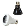 PAR20 LED Light Bulbs