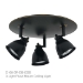 3-Light Multi-Directional Ceiling Fixture D168-3R - D168-3R-AMF-BS