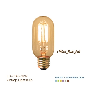 Antique Edison Bulb - T12 - E26 Base - Incandescent - 30W