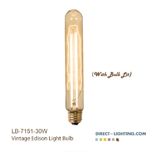Antique Light Bulb - T10 - E26 Base - Incandescent - 30W -