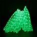 Green Rope Lights LED 50'