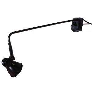 LED Display Lamp DL-59842 Side View