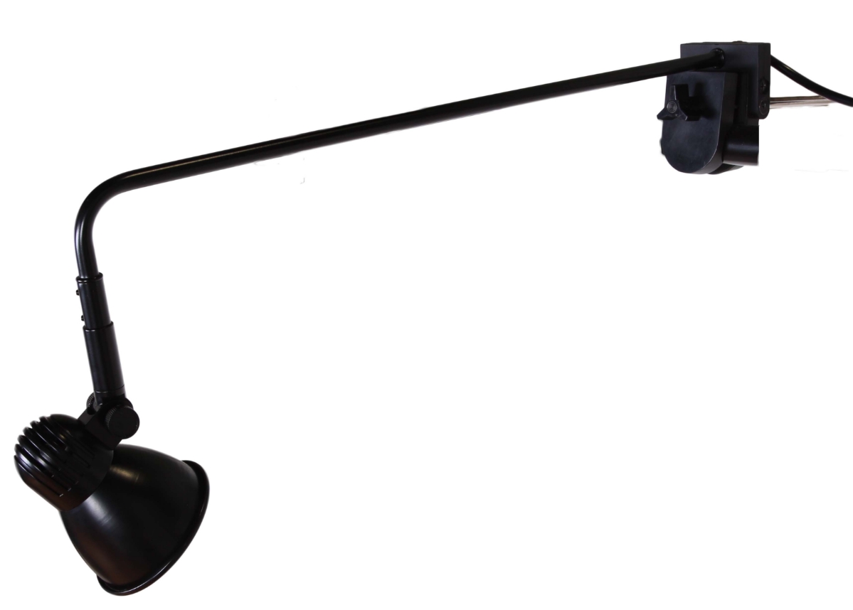 LED Display & Trade Show Lighting DL59842BK