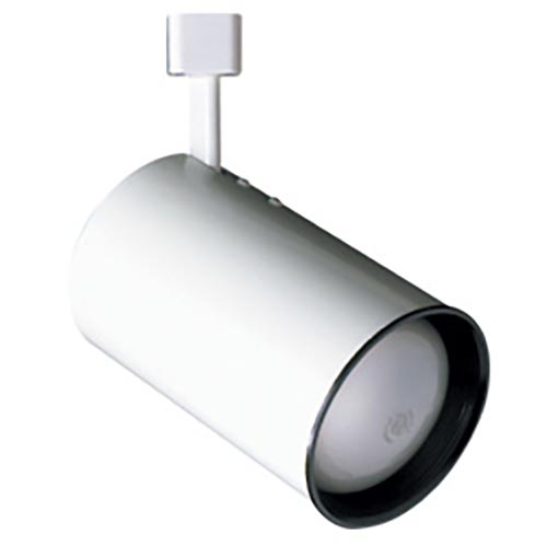 PAR30 R30 Flat Back Cylinder Line Voltage Track Lighting 50055 White