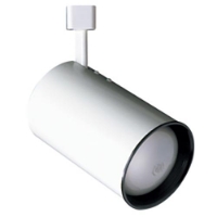 PAR30 R30 Flat Back Cylinder Line Voltage Track Lighting 50055 White