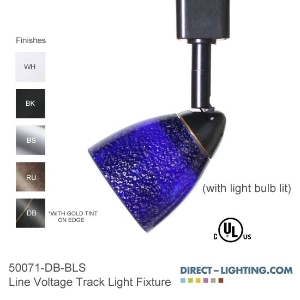Line Voltage Track Lighting