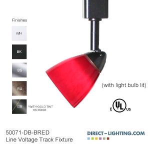 Line Voltage Track Lighting