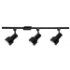 BR30 Stepped Back Track Lighting Kit 50093FC Black