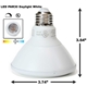 PAR30 LED Light Bulb 13W 6500K Daylight White