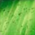Green Fire Glass (GNF)